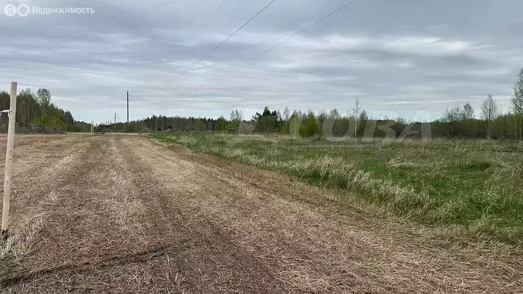Участок в Свердловская область, Тугулымский муниципальный округ, ... - Фото 1