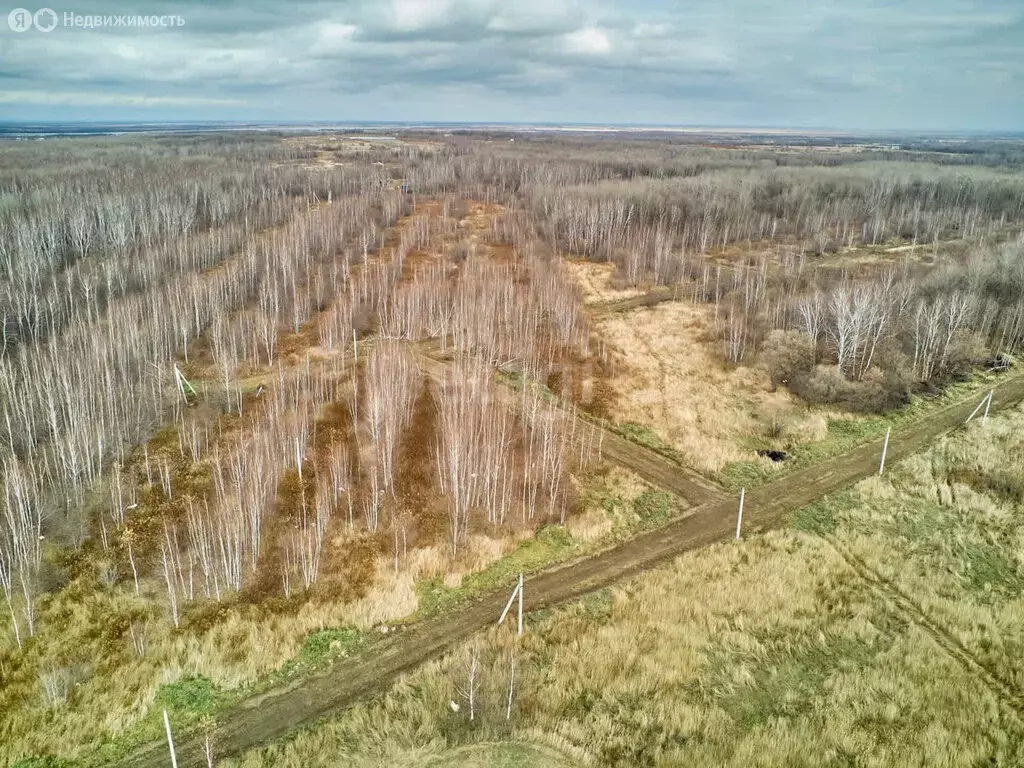 Участок в Хабаровск, садовое товарищество Виктория (10 м) - Фото 0