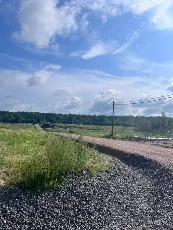 Участок в Ленинградская область, Приозерский район, Сосновское с/пос, ... - Фото 1