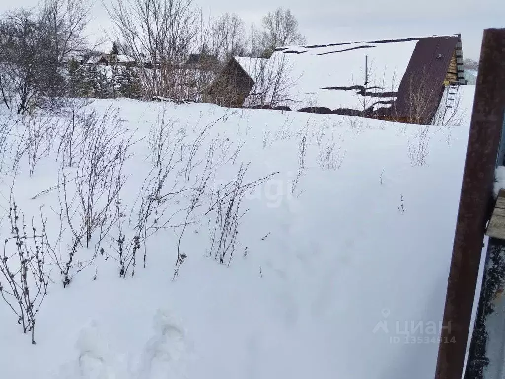 Участок в Алтайский край, Барнаул муниципальное образование, с. ... - Фото 1