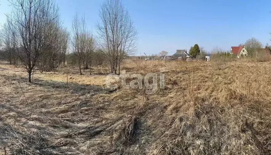 Участок в Вологодская область, Облепиха садоводческое товарищество  ... - Фото 1