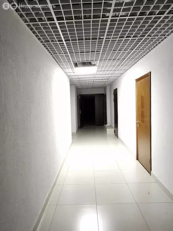 Офис (47.6 м) - Фото 1