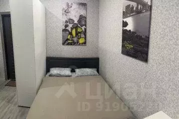 1-к кв. Краснодарский край, Новороссийск ул. Видова, 151 (18.0 м) - Фото 0
