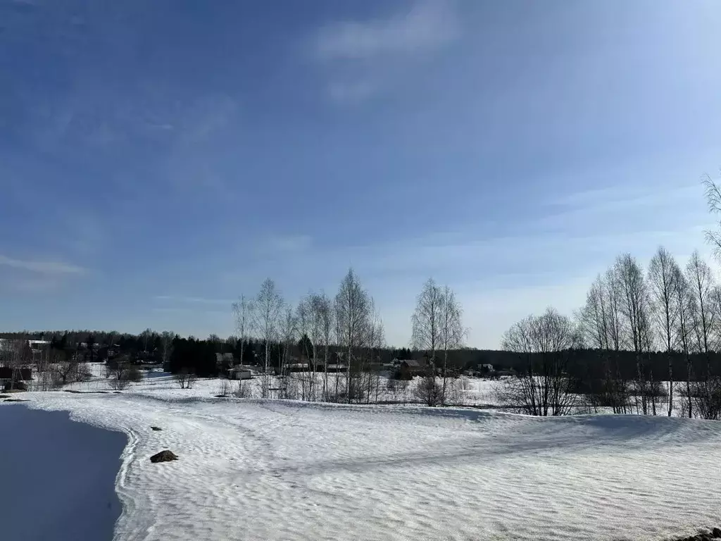 Участок в Московская область, Рузский муниципальный округ, д. Паново  ... - Фото 2