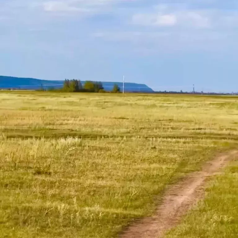 Участок в Саха (Якутия), Якутск городской округ, с. Тулагино  (8.0 ... - Фото 0