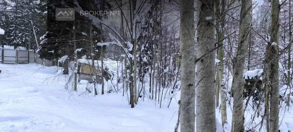 Участок в Ленинградская область, Всеволожск Пушкинская ул., 124 (20.2 ... - Фото 2