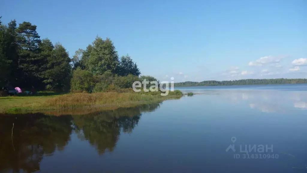 Участок в Ленинградская область, Всеволожский район, Куйвозовское ... - Фото 1