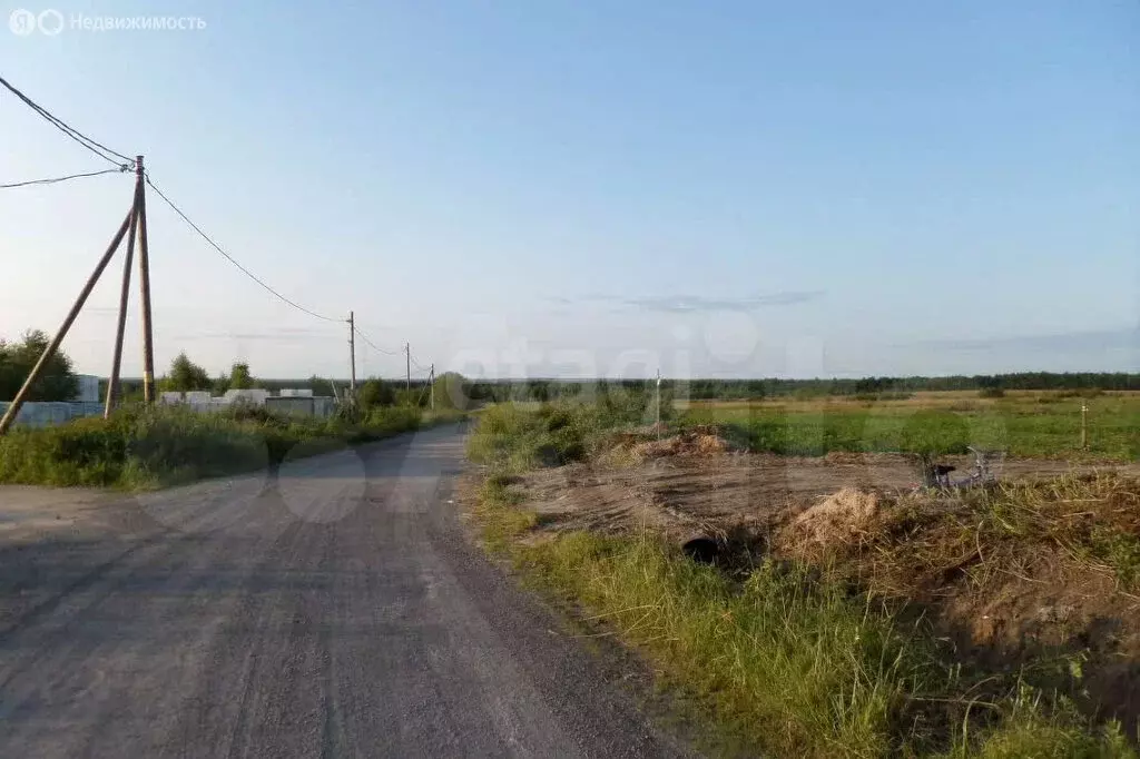 Участок в Вологодская область, Череповецкий муниципальный округ, ... - Фото 2