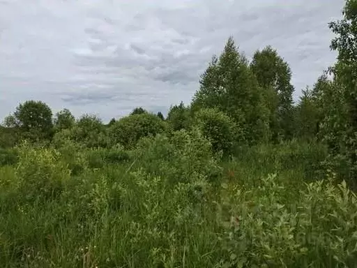 Участок в Московская область, Воскресенск городской округ, с. Ашитково ... - Фото 1