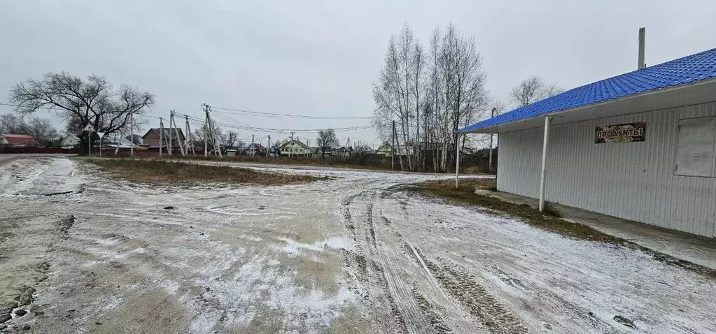 Участок в Московская область, Луховицы муниципальный округ, Белоомут ... - Фото 1