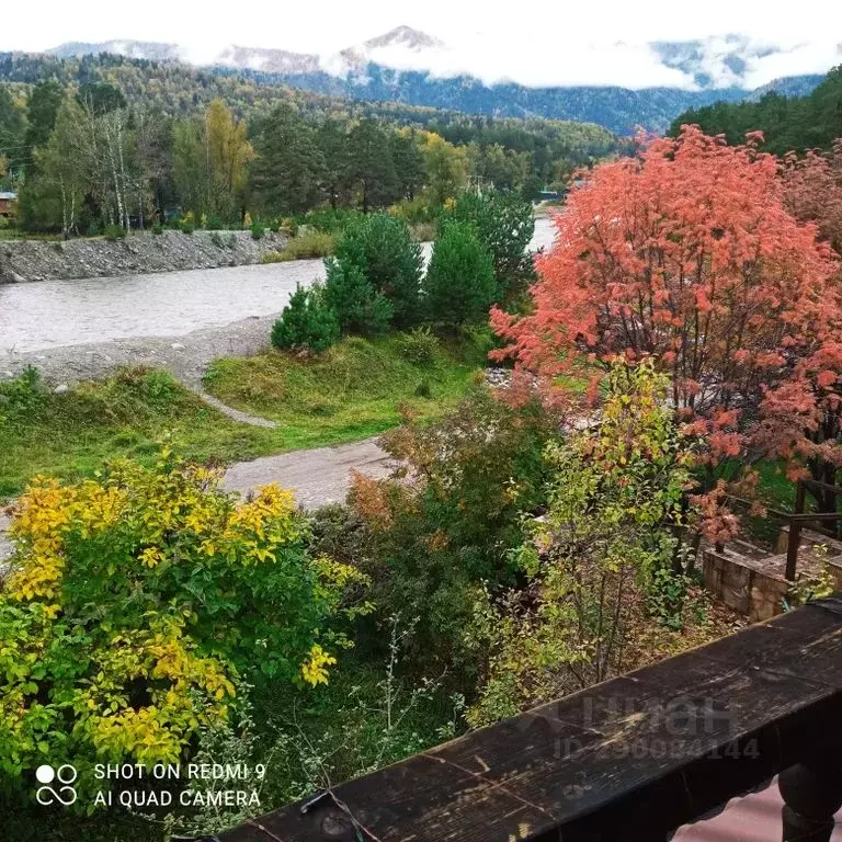 Дом в Алтай, Чемальский район, с. Чемал Курортная ул., 34 (50 м) - Фото 1