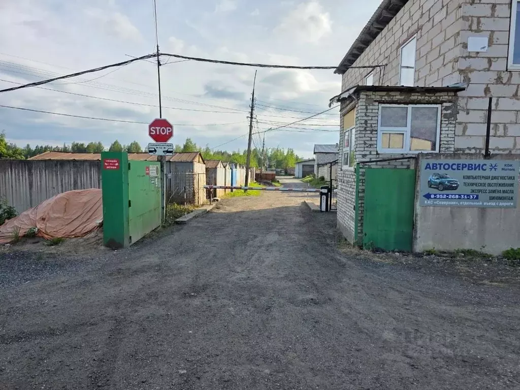 Гараж в Ленинградская область, Гатчинский муниципальный округ  (25 м) - Фото 1