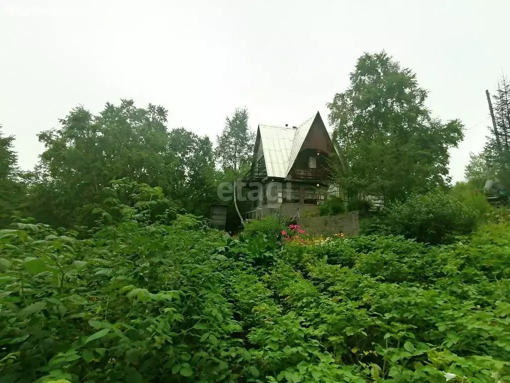 Дом в Новоавачинское сельское поселение, СНТ Орбита (62.2 м) - Фото 1