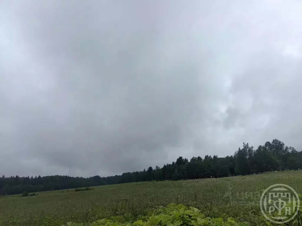 Участок в Псковская область, Куньинский район, Каськовская волость, д. ... - Фото 1
