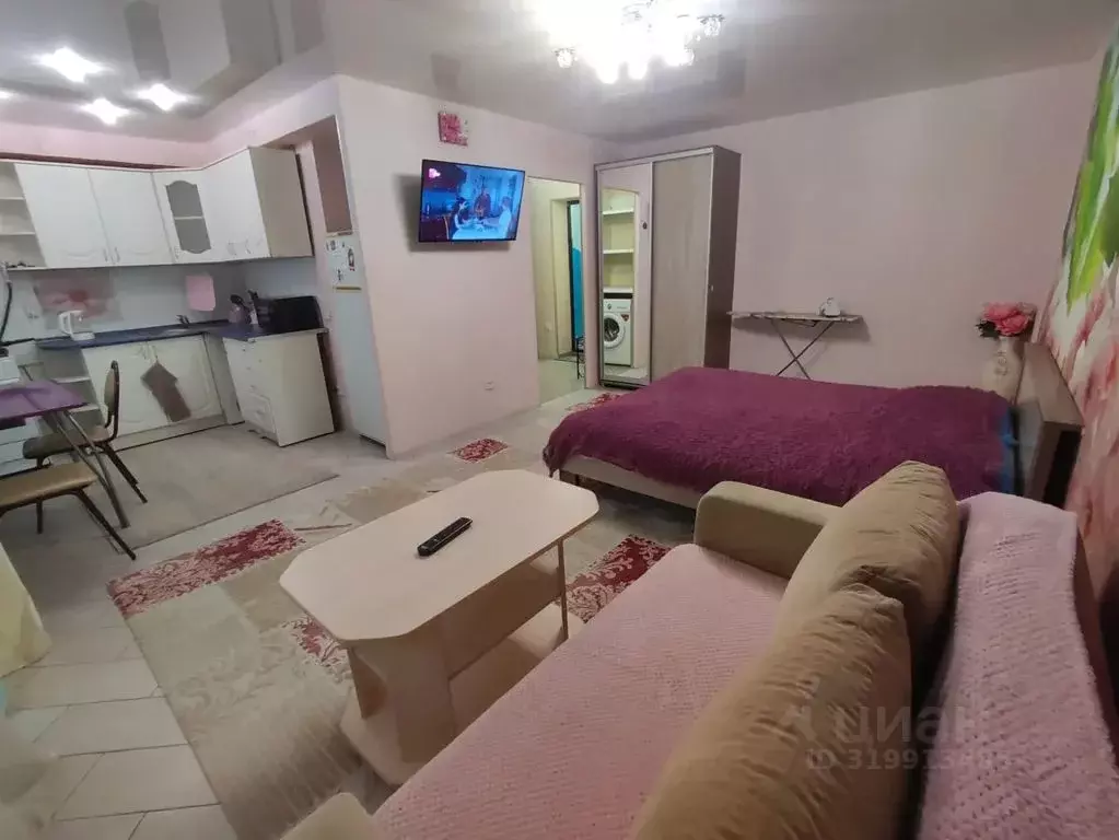 Студия Удмуртия, Сарапул ул. Ефима Колчина, 74 (33.0 м) - Фото 2