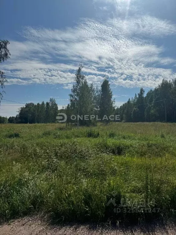 Участок в Ленинградская область, Приозерский район, Мельниковское ... - Фото 1