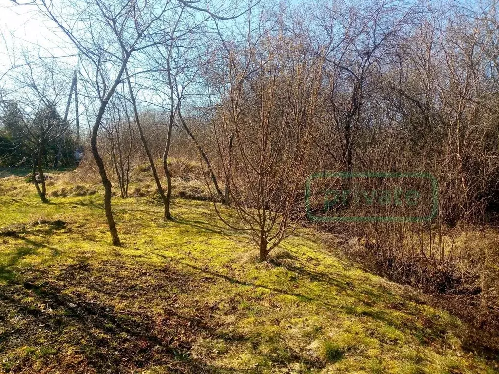 Участок в Калининградская область, Багратионовский муниципальный ... - Фото 1