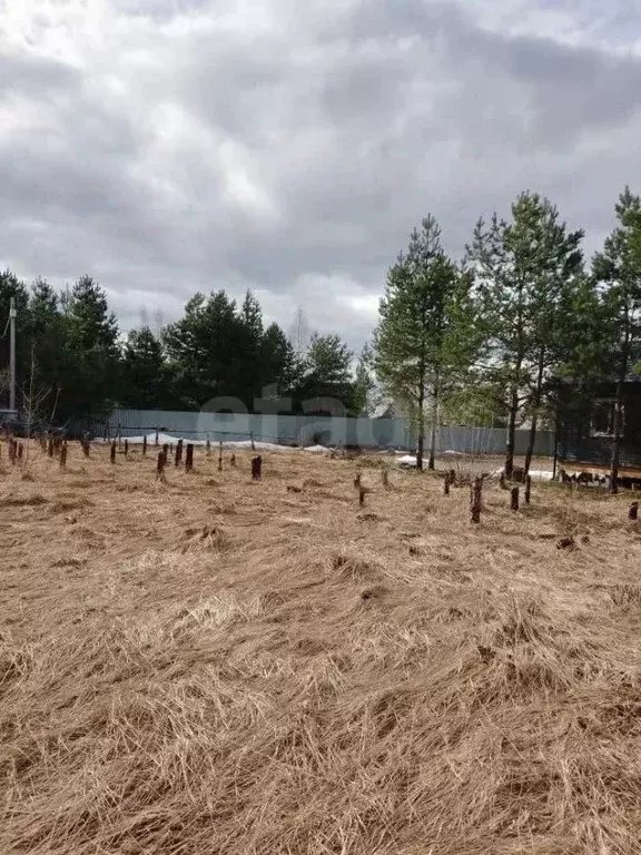 Участок в Московская область, Орехово-Зуевский городской округ, д. ... - Фото 2