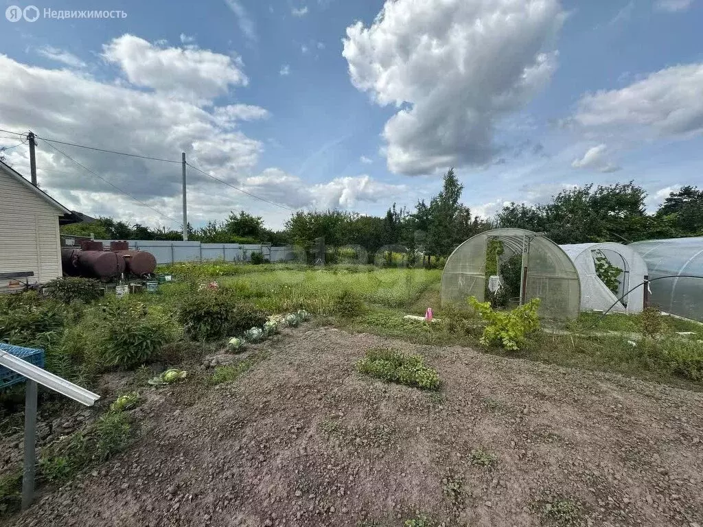 Дом в Толмачево, СДТ Электрон (10 м) - Фото 0