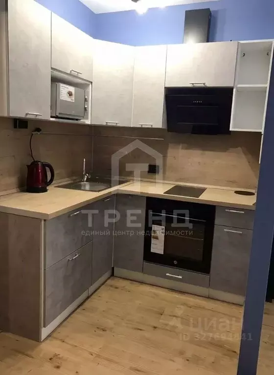 Студия Санкт-Петербург Усть-Славянка тер., просп. Советский, 12 (25.0 ... - Фото 1