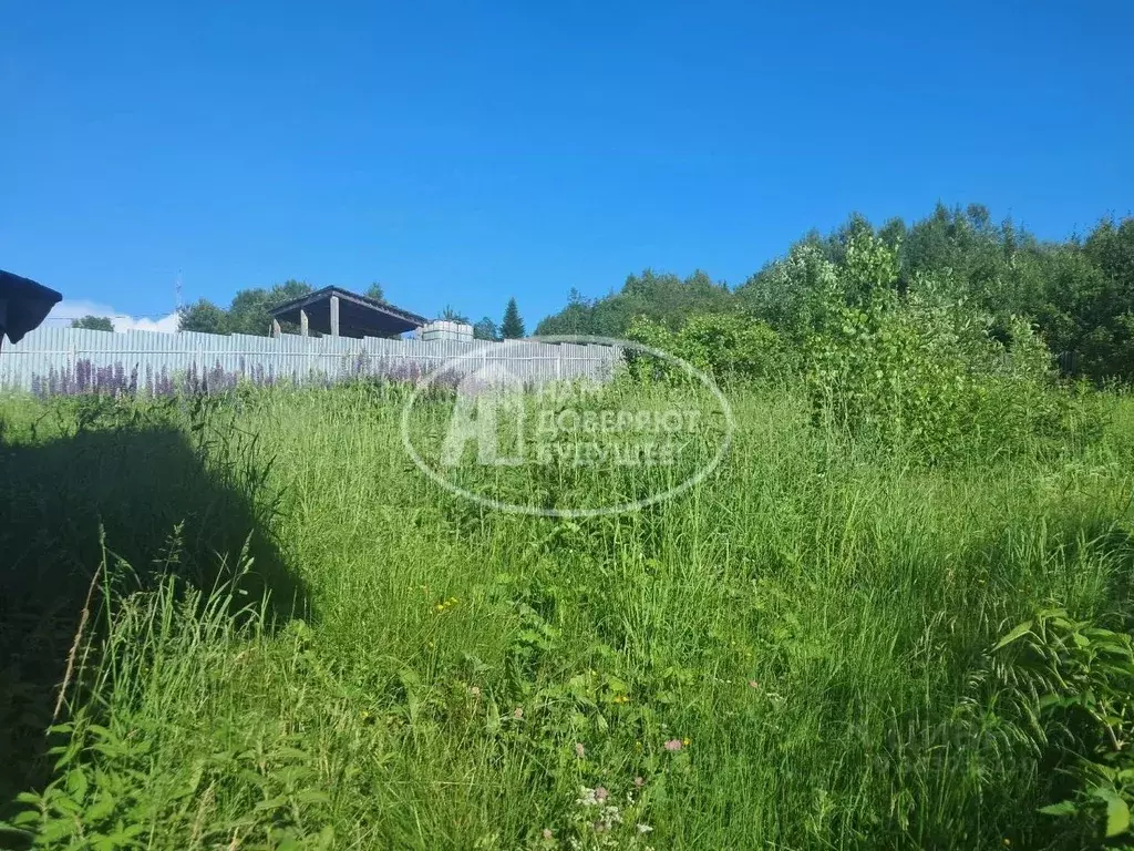 Участок в Пермский край, Губахинский муниципальный округ, пос. ... - Фото 2