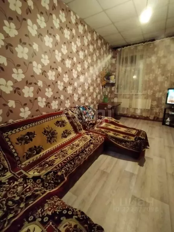 2-к кв. Коми, Сыктывкар Верхний Чов мкр, 73 (49.8 м) - Фото 1