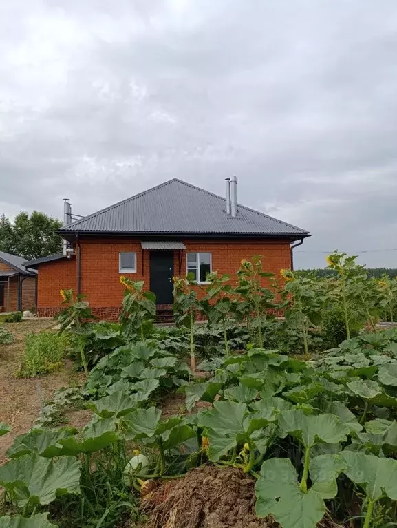 Дом в Татарстан, Балтаси пгт ул. Лозинское Поле, 10 (105 м) - Фото 2