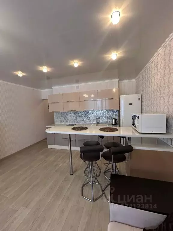 Студия Новосибирская область, Новосибирск ул. Татьяны Снежиной, 25/4 ... - Фото 1