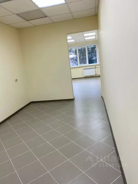 Торговая площадь в Липецкая область, Липецк ул. Гагарина, 159 (48 м) - Фото 1