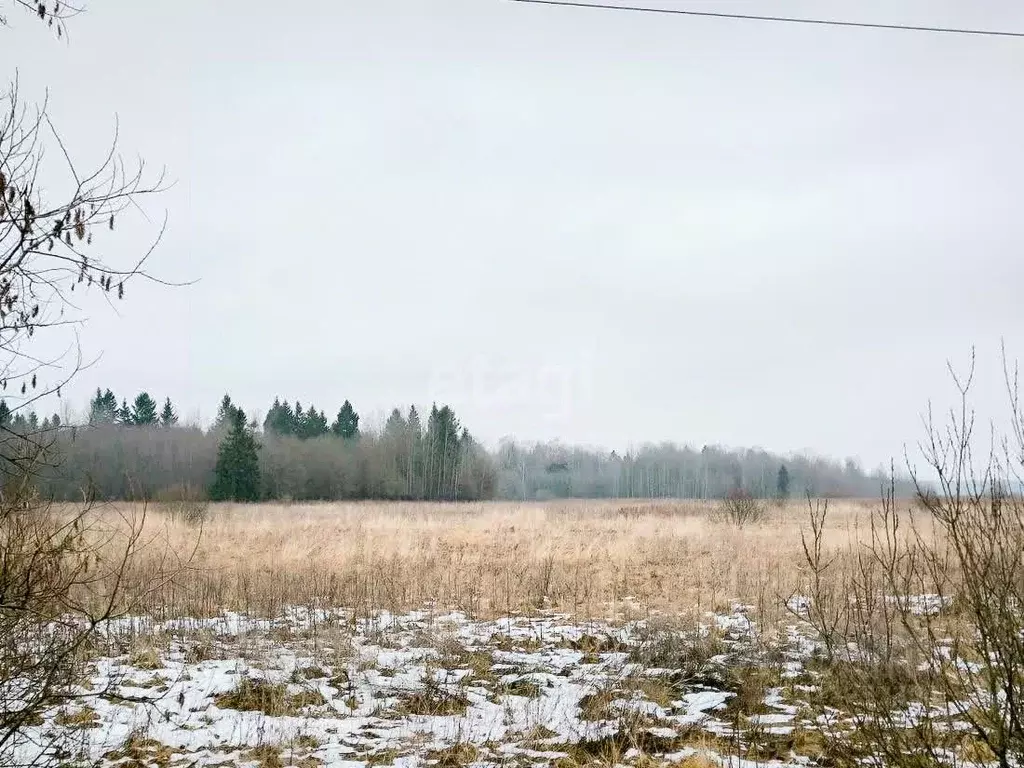 Участок в Ярославская область, Ярославский район, Кузнечихинское ... - Фото 0