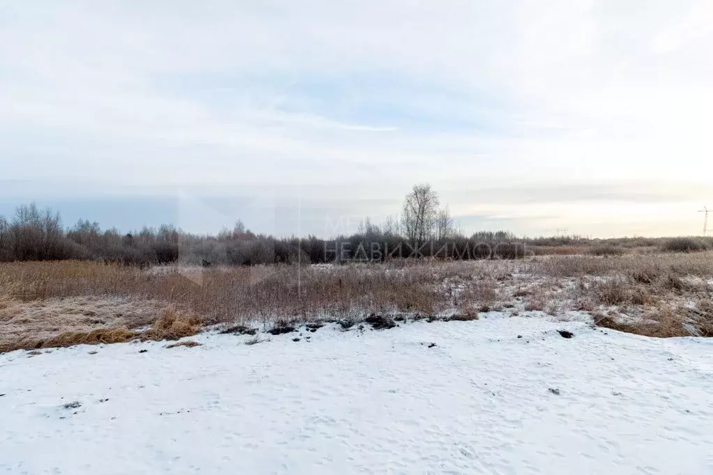 Участок в Тюменская область, Тюмень  (6.49 сот.) - Фото 0