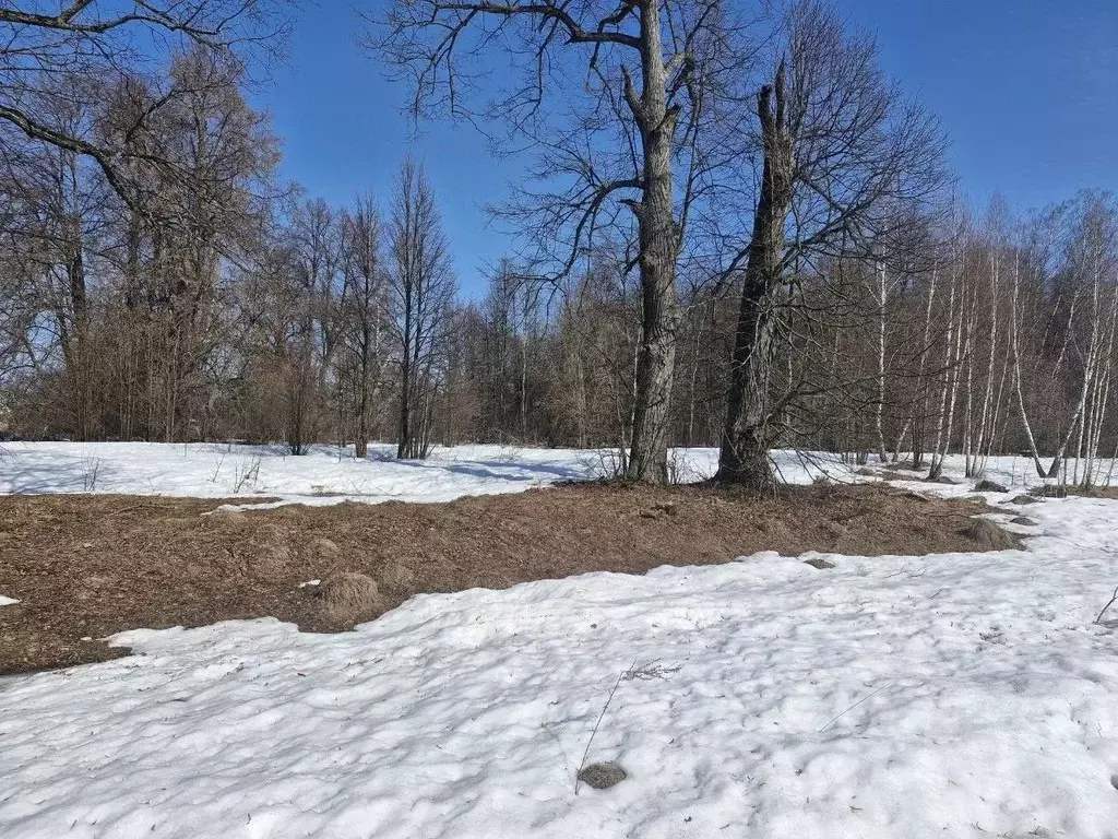 Участок в Московская область, Ступино городской округ, с. Бортниково  ... - Фото 2