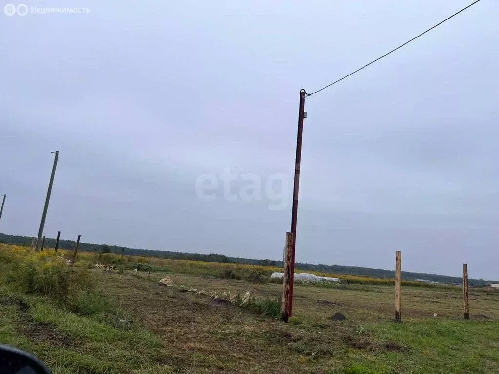 Участок в Мылинское сельское поселение, деревня Фроловка (12 м) - Фото 2