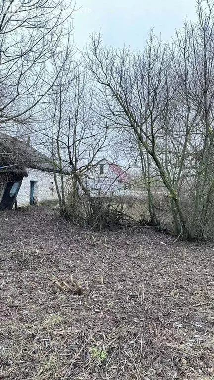 Участок в село Двуречки, улица Тимирязева, 45 (19 м) - Фото 2