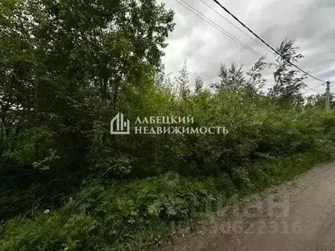 Участок в Ленинградская область, Гатчинский муниципальный округ, ... - Фото 2