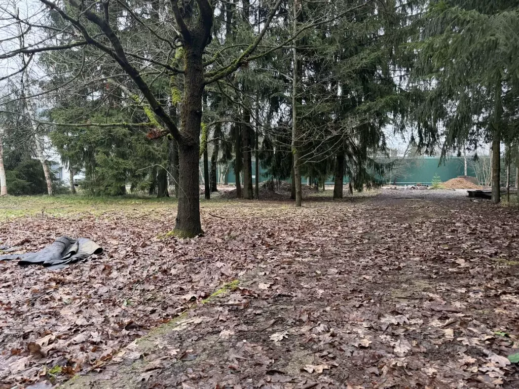 Участок в Московская область, Одинцовский городской округ, Жаворонок ... - Фото 1