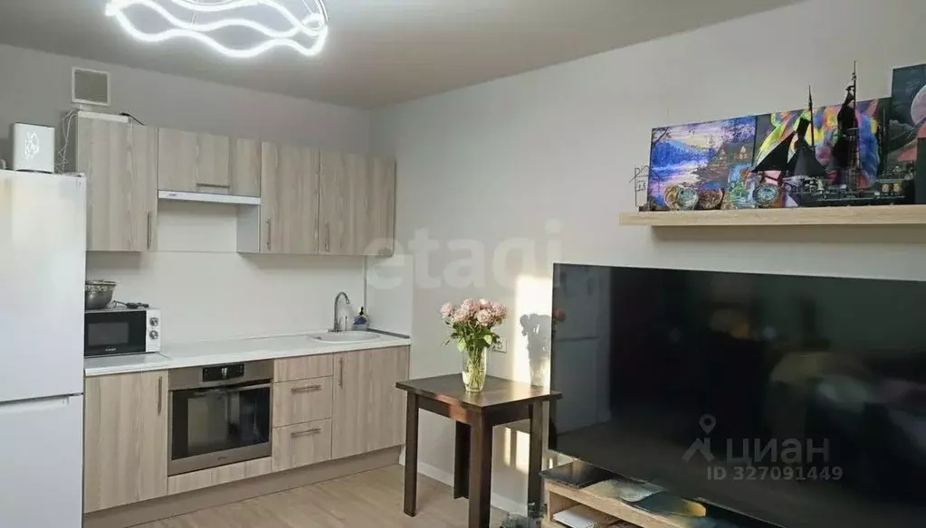 Студия Московская область, Люберцы городской округ, Жилино-1 пгт, 1-й ... - Фото 1