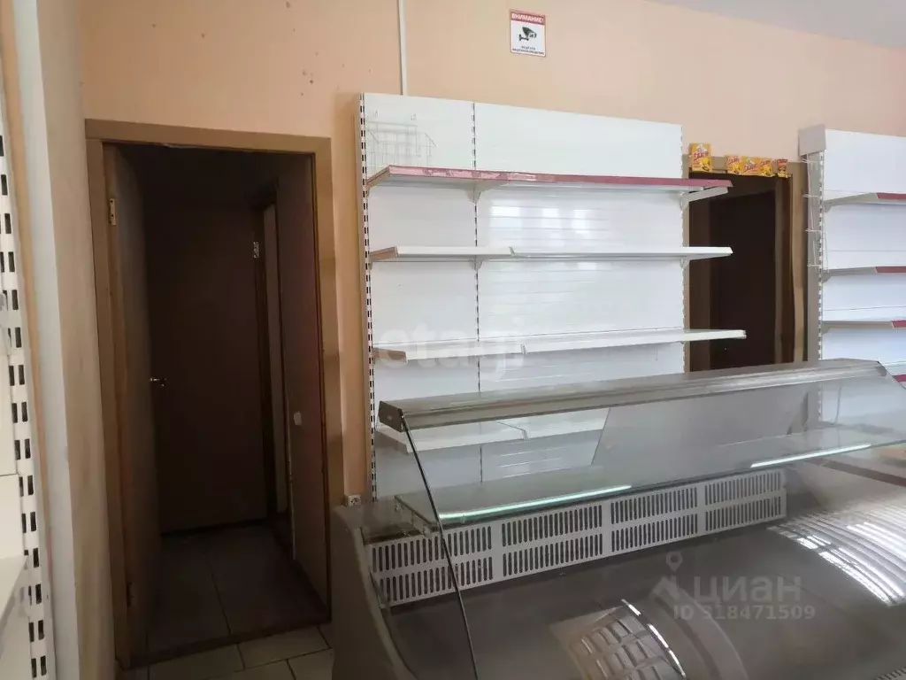 Торговая площадь в Тамбовская область, Тамбов городской округ, с. ... - Фото 1