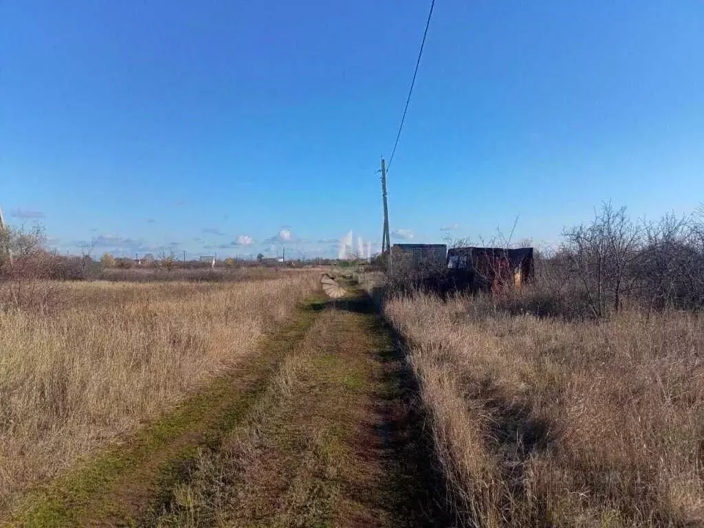 Участок в Саратовская область, Энгельсский район, Терновское ... - Фото 2