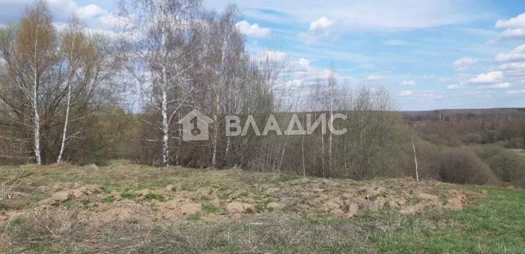 Участок в Владимирская область, Собинский муниципальный округ, д. ... - Фото 0