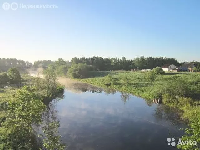 Участок в Трегубовское сельское поселение, деревня Радищево, дачное ... - Фото 0