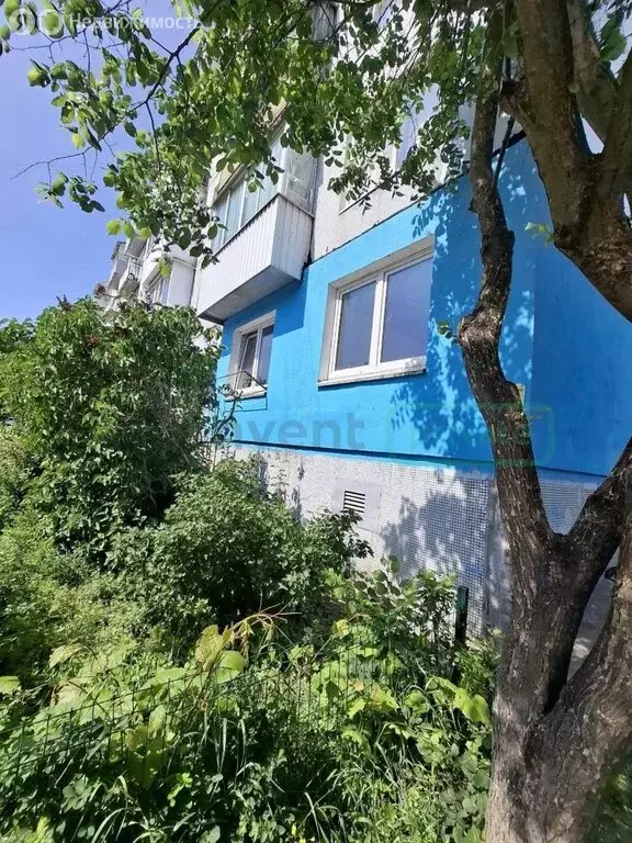 1-комнатная квартира: Балтийск, улица Литке, 2 (31.2 м) - Фото 0