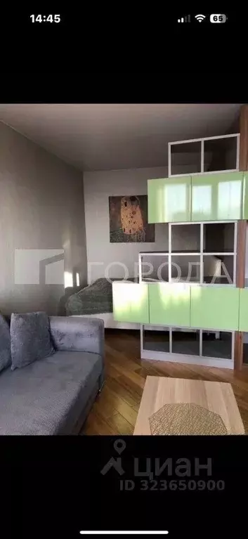 Студия Новосибирская область, Новосибирск ул. Семьи Шамшиных, 12 (38.9 ... - Фото 1