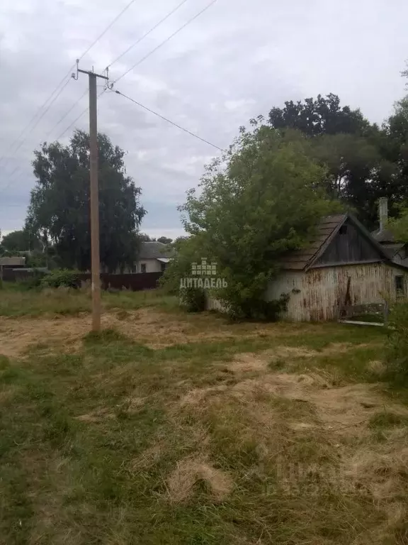 Дом в Воронежская область, Нижнетуровское с/пос, с. Нижнее Турово ... - Фото 2