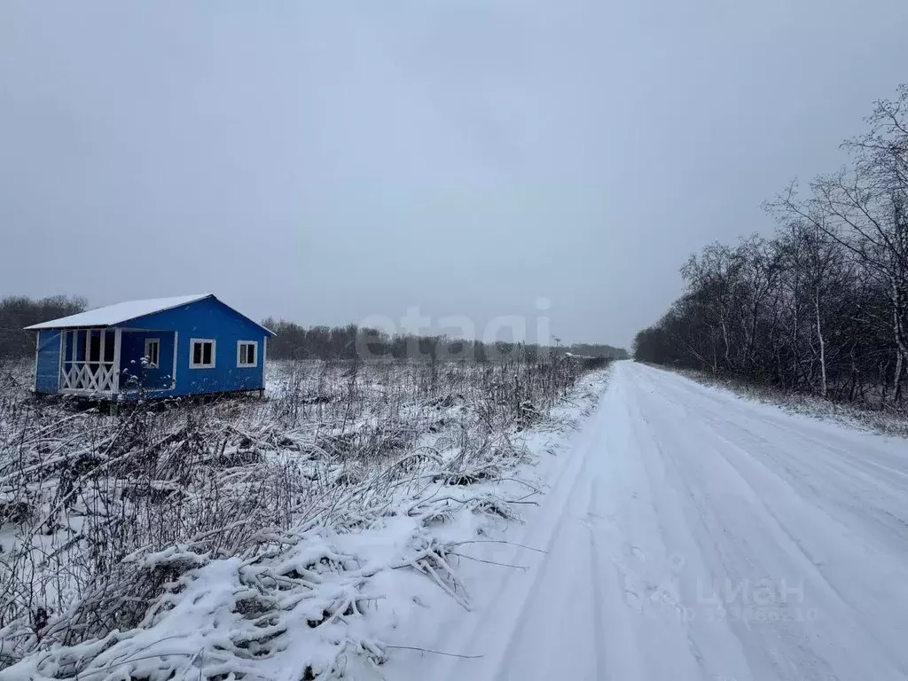 Дом в Архангельская область, Приморский муниципальный округ, д. Корелы ... - Фото 1
