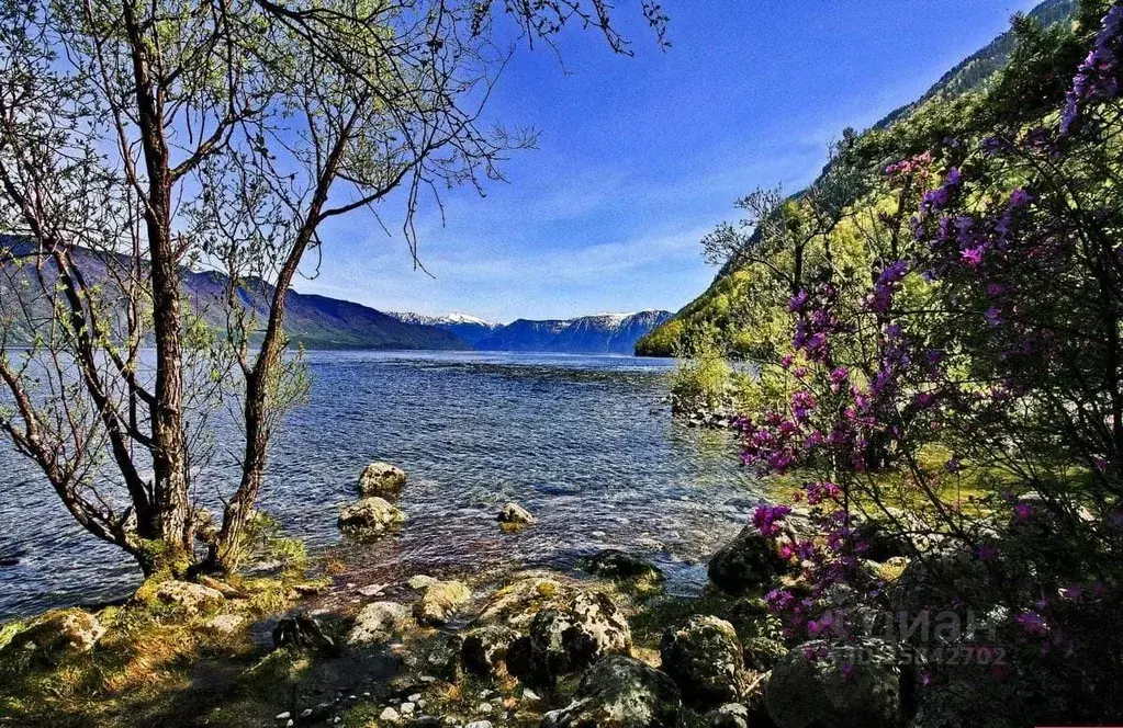 Участок в Алтай, Турочакский район, с. Ново-Троицк  (41.0 сот.) - Фото 0