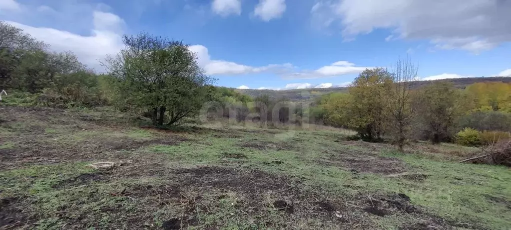 Участок в Адыгея, Майкопский район, Даховская ст-ца  (20.0 сот.) - Фото 1