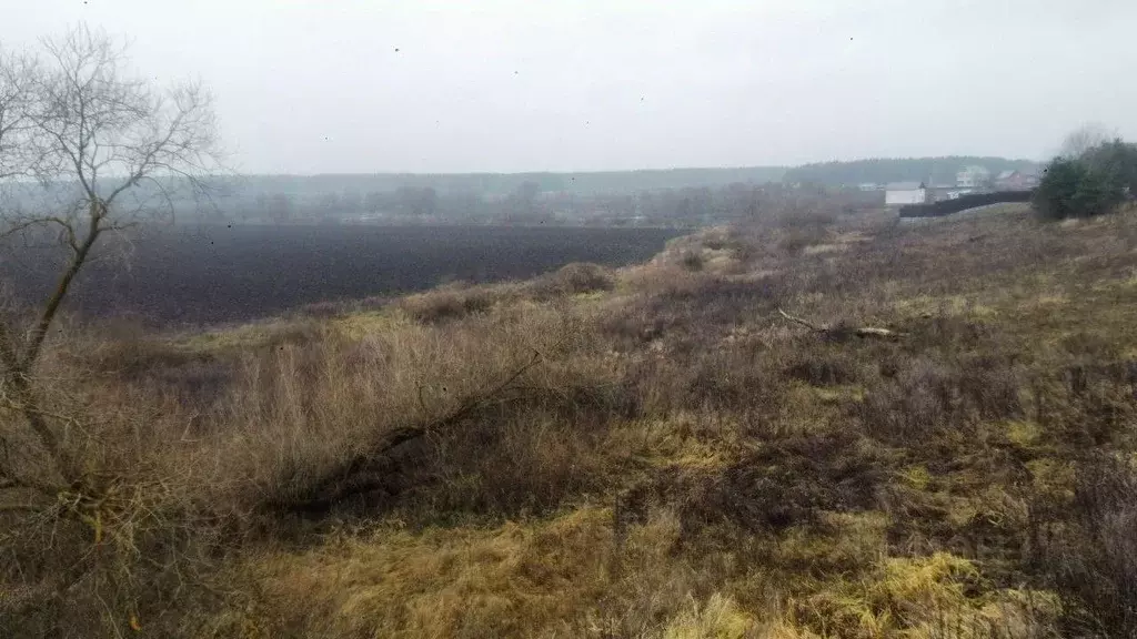 Участок в Московская область, Серпухов городской округ, д. Дракино ул. ... - Фото 2