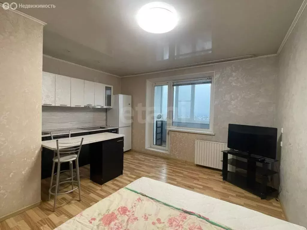 Квартира-студия: Челябинск, Шагольская улица 1-й квартал, 4А (23.9 м) - Фото 2