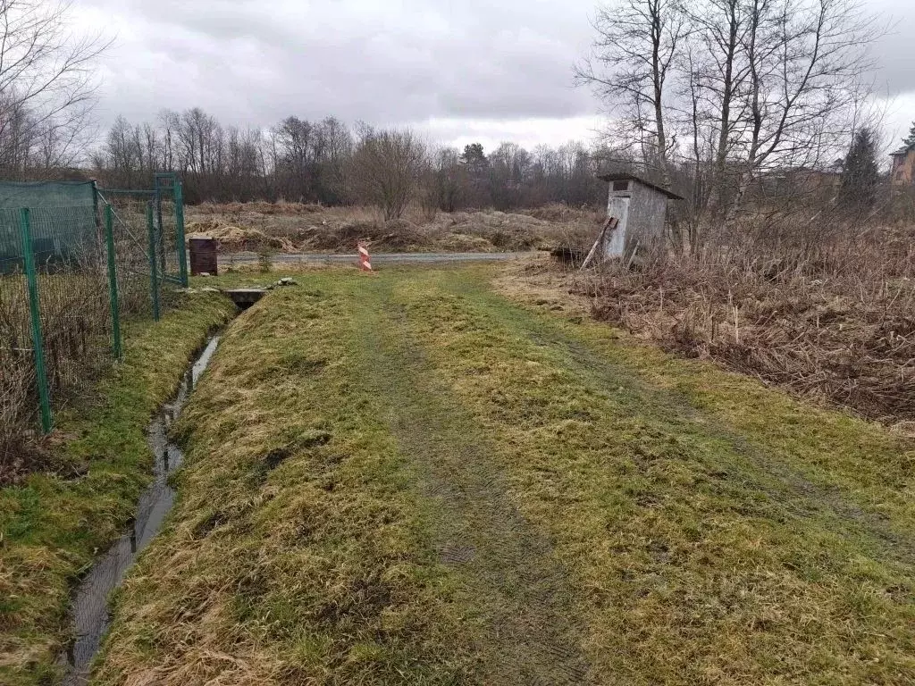 Участок в Ленинградская область, Ломоносовский район, Горбунковское ... - Фото 2